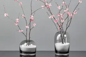 桃花 手工植物干花图片