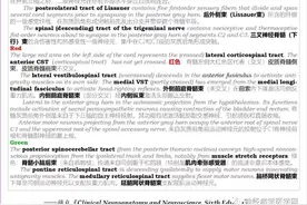 精品 | 十大脑干解剖层面及功能详解图片