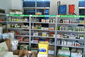 在农村，这7个项目可以赚钱，收入很不错，看看怎么做？图片