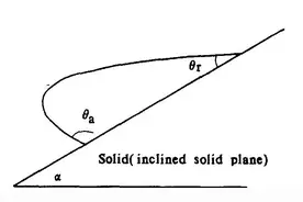 荷叶“出淤泥而不染”的秘密图片