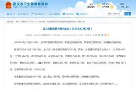 武汉市新冠肺炎疫情动态（2020年11月19日）图片
