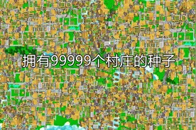 99999个天然村庄？那些年，我的世界流传甚广的5个“神秘”种子图片