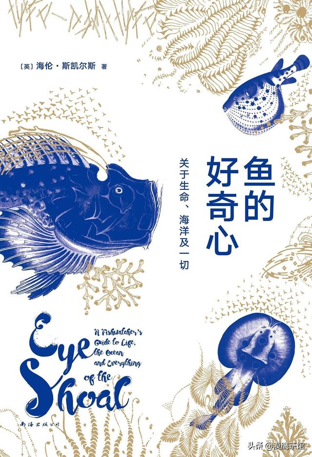 雌雄互换？放电高手？毒死自己？跟随鱼类学家体验神奇的海底世界