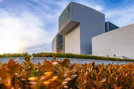 山东大学：就业率高达100%的专业名单公布，多达53个图片