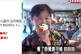李子柒被韩国人骂出25万条评论，我惊了图片
