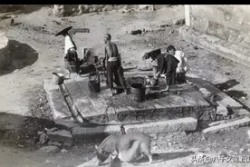 Hagger, F. 影集（部分）图片