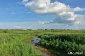 李寻谈酒：东北地区白酒的问题和出路图片