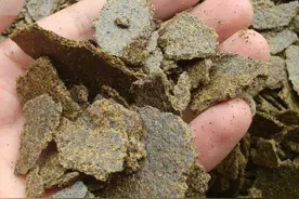 菜籽饼发酵做花肥，加水这样发酵“简单高效”，肥料丰富、无臭味图片