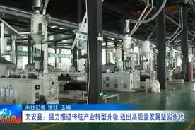 【关注】文安县：强力推进传统产业转型升级 迈出高质量发展坚实步伐图片