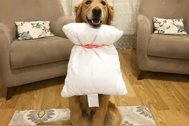 秀身材，秀创意：你敢不敢参加这个“用枕头当衣服挑战”图片