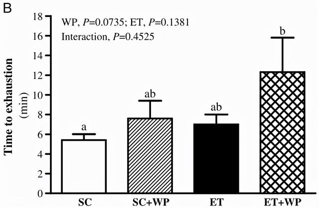 不健身直接吃蛋白粉会怎么样？