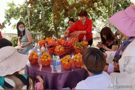 花石镇河东张庄楹昌休闲农庄开园啦！星光大道选手都来采摘了图片