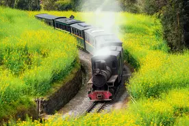 火车票上的字母，你知道是什么意思吗图片