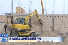 南城街道组织开展违建拆除行动图片