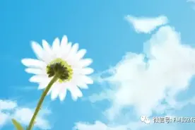 《书香长安》经典诵读——《雏菊》图片