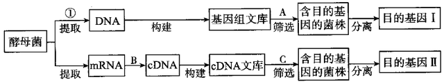 2022届高三开学摸底考试生物试卷（河北卷）