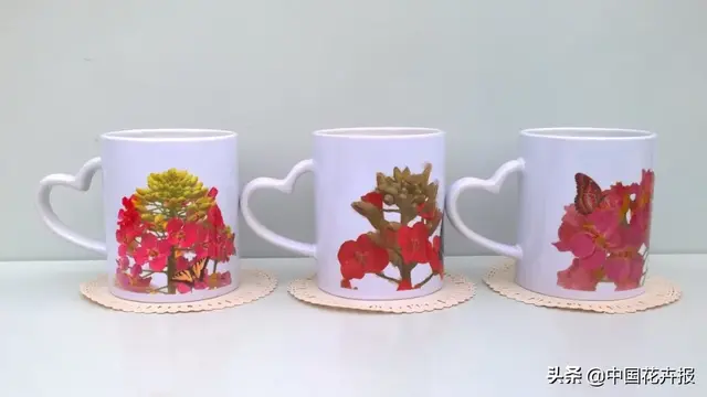 北国杏花初绽，江南已是油菜花漫山，“可甜可盐”的彩色油菜花，爱了！