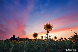 梁冬：人到底有没有前世今生图片