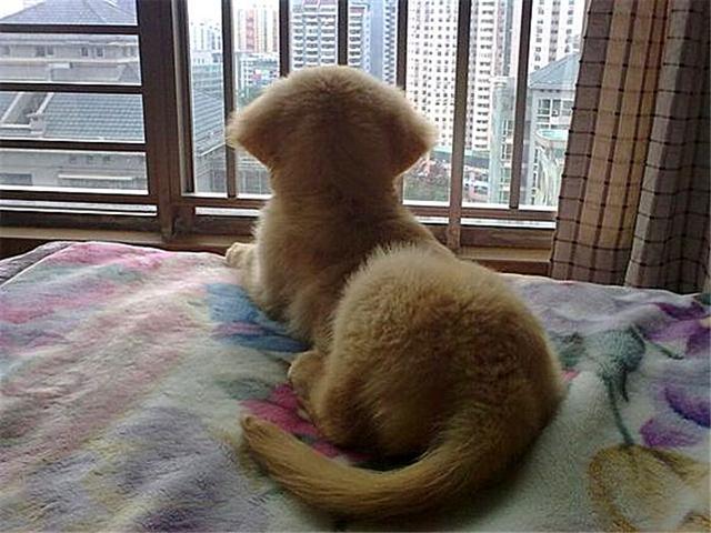 ҥëġůС𣿲ֻǶѺ