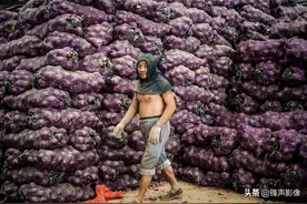 粒粒皆辛苦 不为人知的蔬菜搬运工图片
