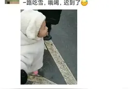 哈哈哈！一大早被成都的雪人笑疯了！图片