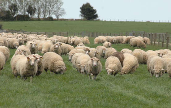 科学配比更重要，奶粉营养也不是越多越好