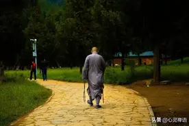 禅悟：人太闲，是一场灾难！图片