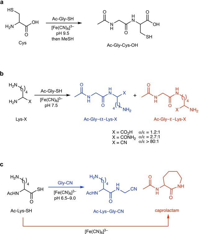 Nature重磅：肽可由非氨基酸合成，有助破解生命最初形成之谜