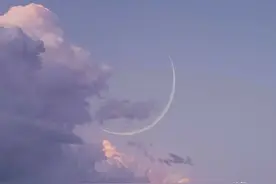 夏洛蒂.勃朗特图片