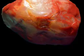 甘肃奇石玉石大全，这里的一种石头曾被炒到天价图片