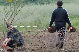 《向往的生活5》出现最烦人嘉宾，何炅不留情面，黄磊难掩嫌弃图片