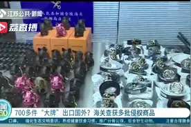 可疑！“大牌”出口国外 海关查出了700多件侵权商品图片