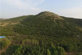 七旬残疾老翁出资3600万携女在荒山种80万棵树，却因“不要钱的黄土”被刑拘图片