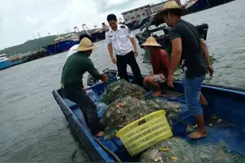 多地提前启动禁渔期！部分禁止野钓，你想问的答案在这里图片