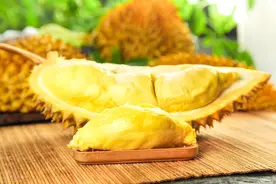 「家园」漫话榴莲图片