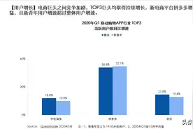 “后浪”来到拼多多？报告：拼多多新青年用户增长最快图片