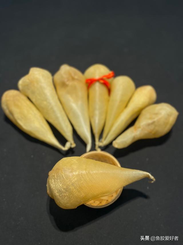 白花胶哪里产的最好 白花胶哪里产的最好功效都一样吗