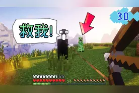 我的世界菜鸟生存30，驯服一匹好马，苦力怕不想让我把它带走