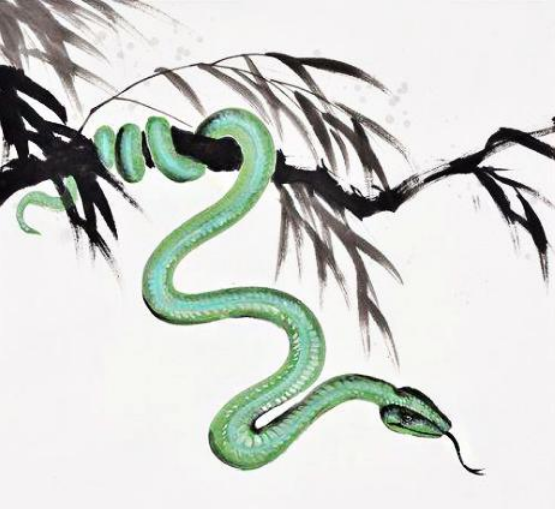 就比如说我们形容一个人心地歹毒就会说他蛇蝎心肠,还有葫芦娃里面蛇