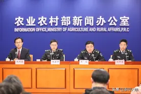 钓鱼行为被纳入监管，4种钓鱼用饵，6种垂钓方式将被永久禁止图片
