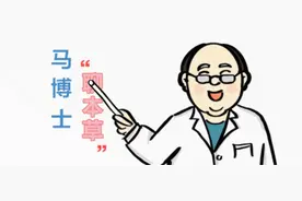 【马博士聊本草】女科要药（四）：三七的故事——日常用法举隅图片