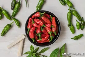 为什么有人爱吃辣？哪些人不能吃辣？解答你关于辣椒的几个疑惑图片