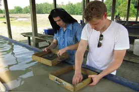 美国一公园遍布钻石，门票36元挖到即可带走，48年损失上亿元图片
