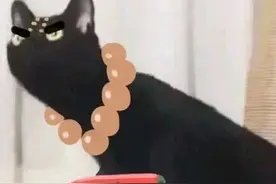 罗志祥深夜曝出的猛料，竟被扒暗指郑爽？图片