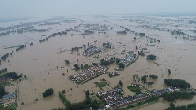 1983年蛇灾前因后果：特大洪水让蛇无家可归，居民以为有天灾发生