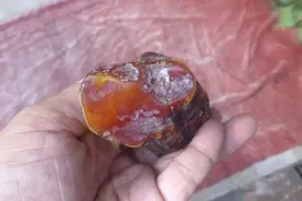儿子放学路边捡到一块石头，专家鉴定后给的价格，让全家惊喜万分图片