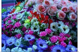 花 与 人 的 性 格图片