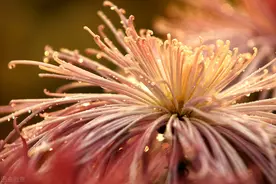 人生，不要想太多图片