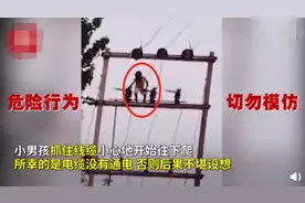 惊险一幕！5岁熊孩子爬上近8米高电线杆，迎风站立吓坏路人图片