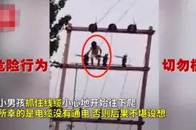 惊险一幕！5岁熊孩子爬上近8米高电线杆，迎风站立吓坏路人图片